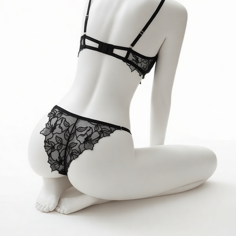 Elegant Lace Lingerie Set Wome - مراجعة Minimizer Bra Women وسعره